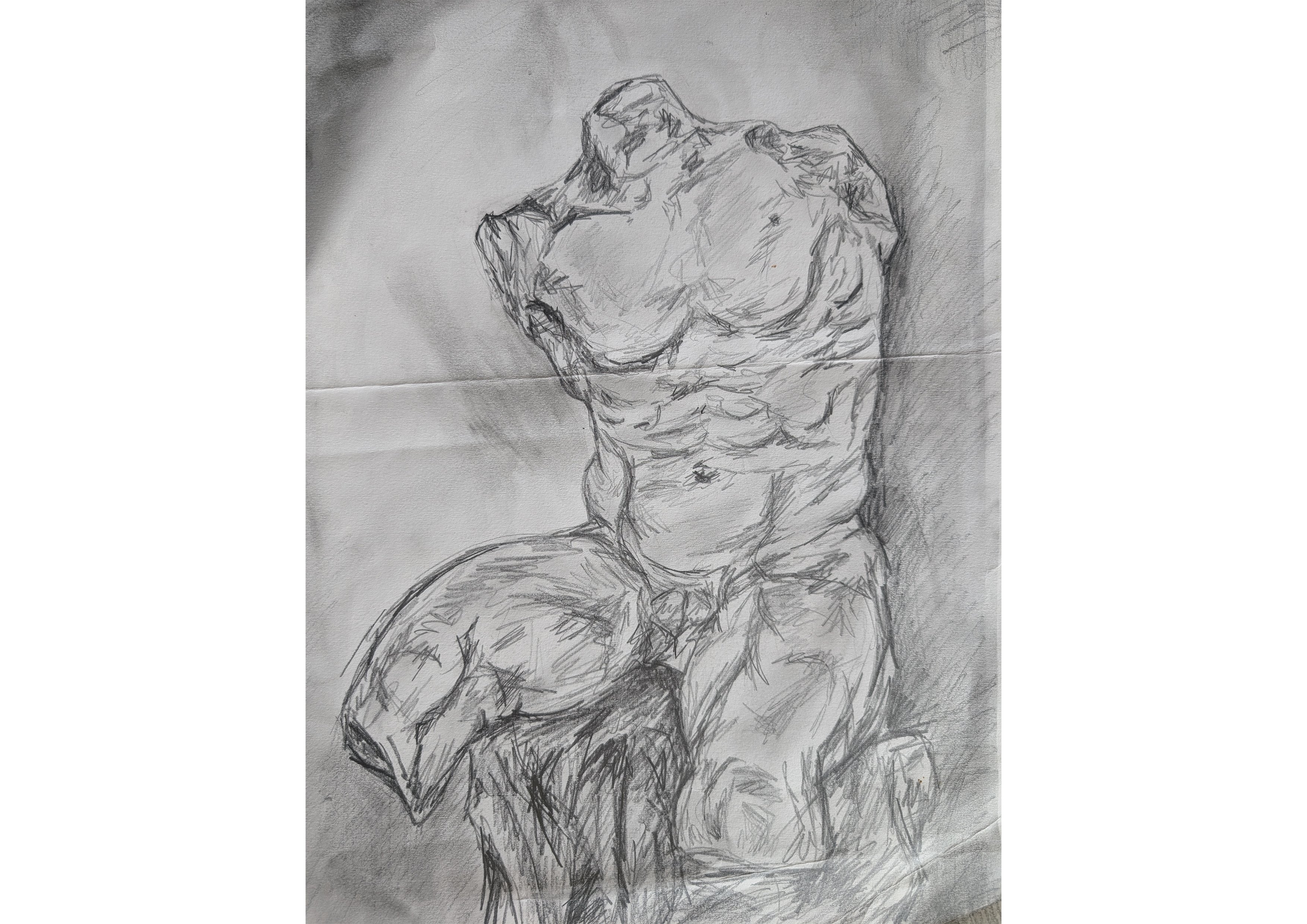 Torso